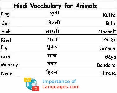 basic hindi grammar pdf